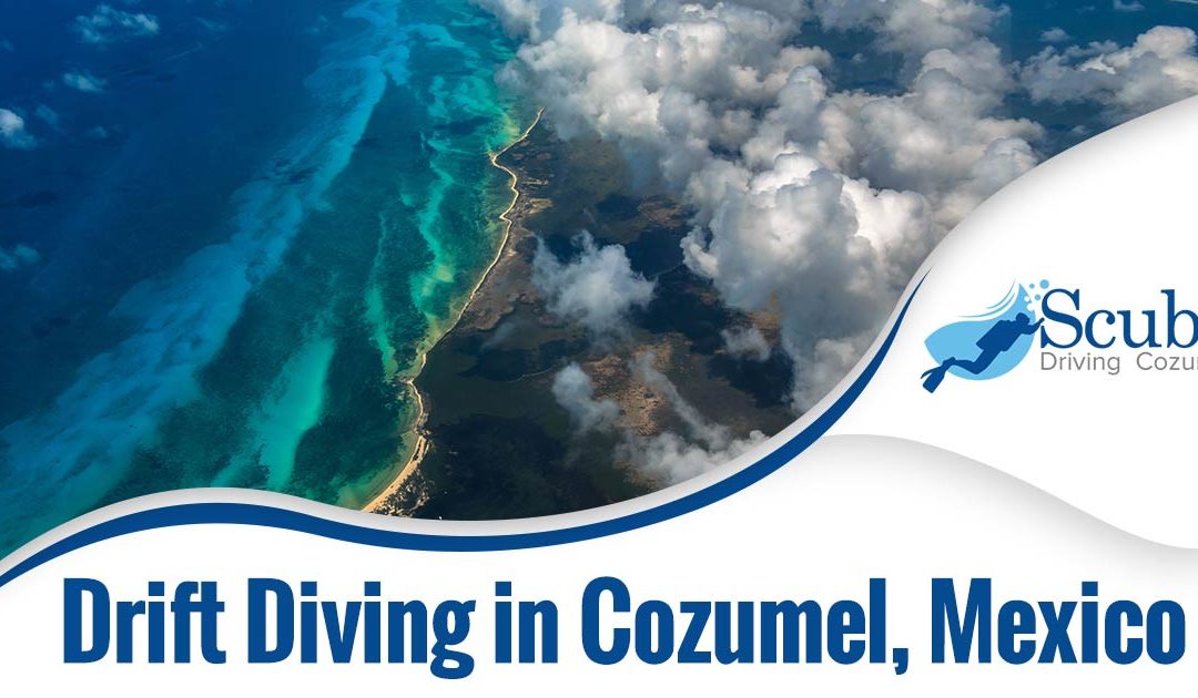 Drift Diving in Cozumel, Mexico