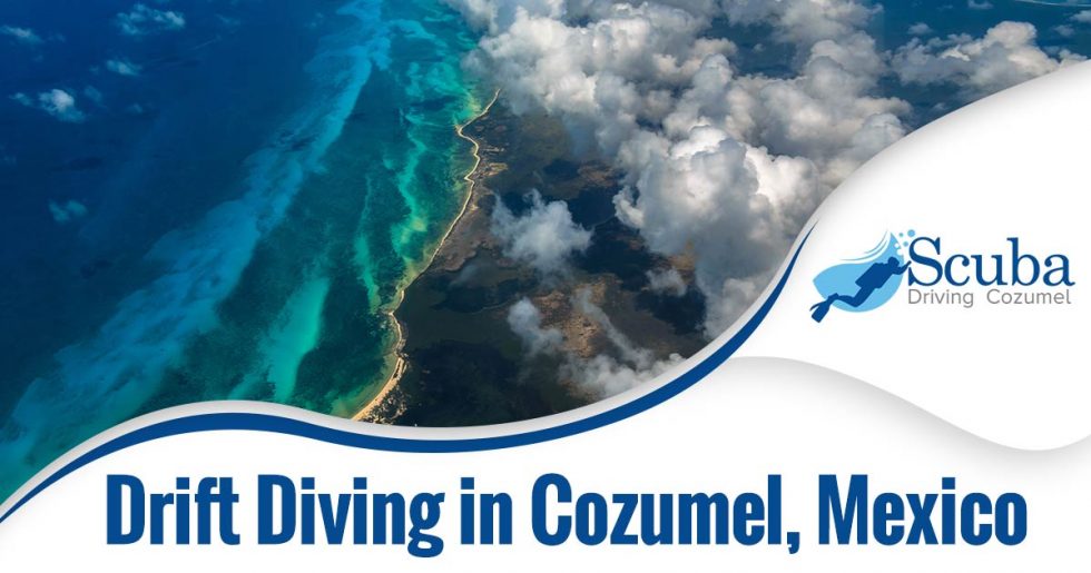 Drift Diving in Cozumel, Mexico - Scuba Diving in Cozumel Mexico ...