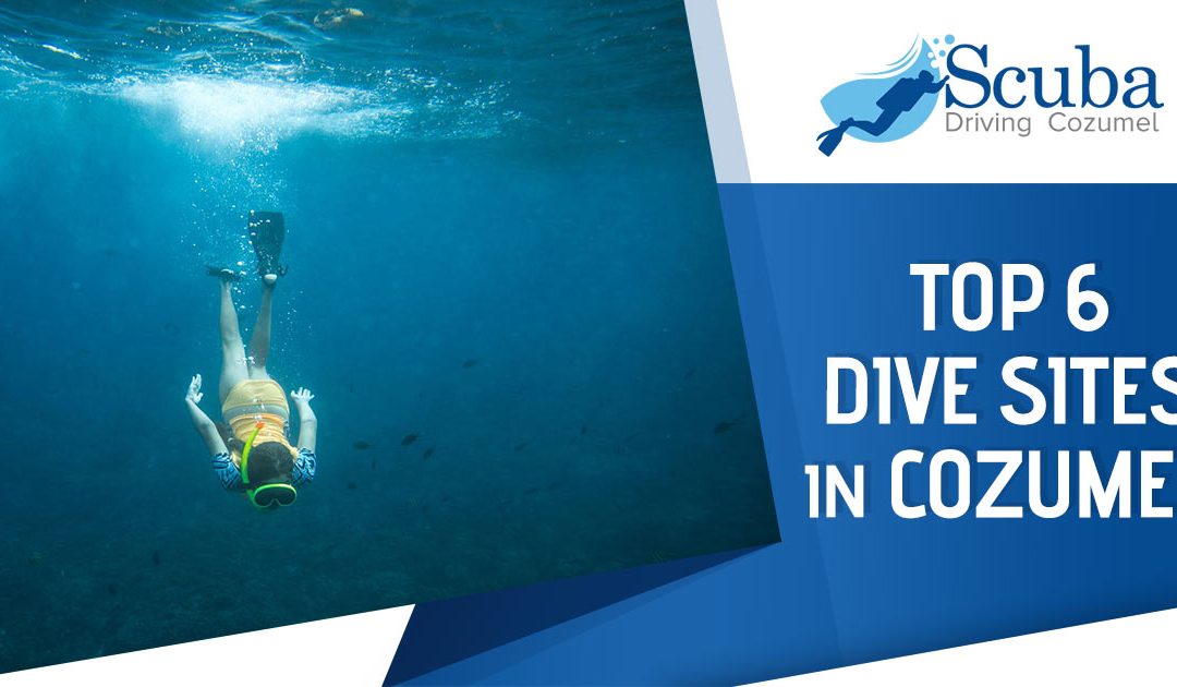 Top 6 Dive Sites in Cozumel