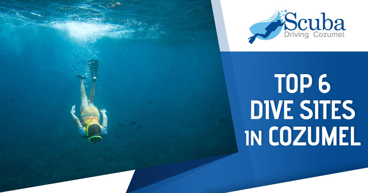 Top 6 Dive Sites in Cozumel - Scuba Diving in Cozumel Mexico - Cozumel Dive  Shops, Resorts & Restuarants